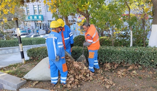 1000余吨落叶“变废为宝”