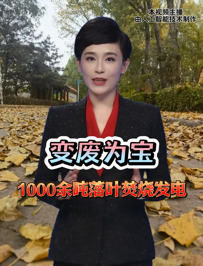 变废为宝，1000余吨落叶焚烧发电