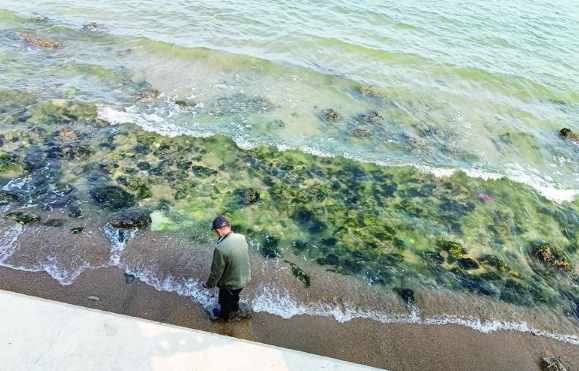 捞上来啦！滨海广场护岸下两把铁椅子“上岸”了