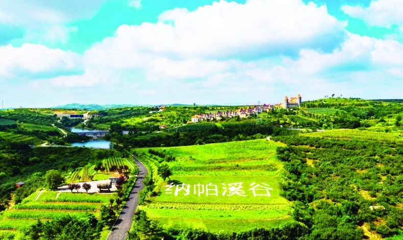 奋进万亿新征程|李文勇：让烟台葡萄酒走向世界
