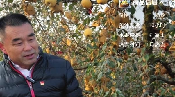 烟台一村支书“直播带货”卖苹果 开启助农新模式