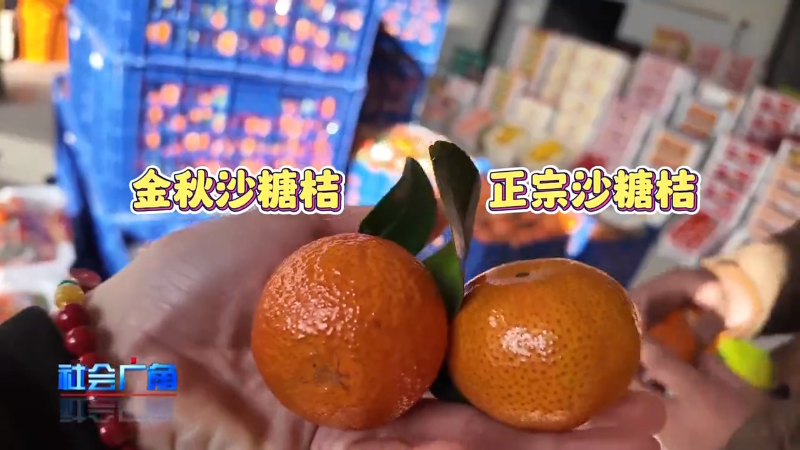 沙糖桔4kg 今年最後 沙糖桔4kg 今年最後 【公式通販】