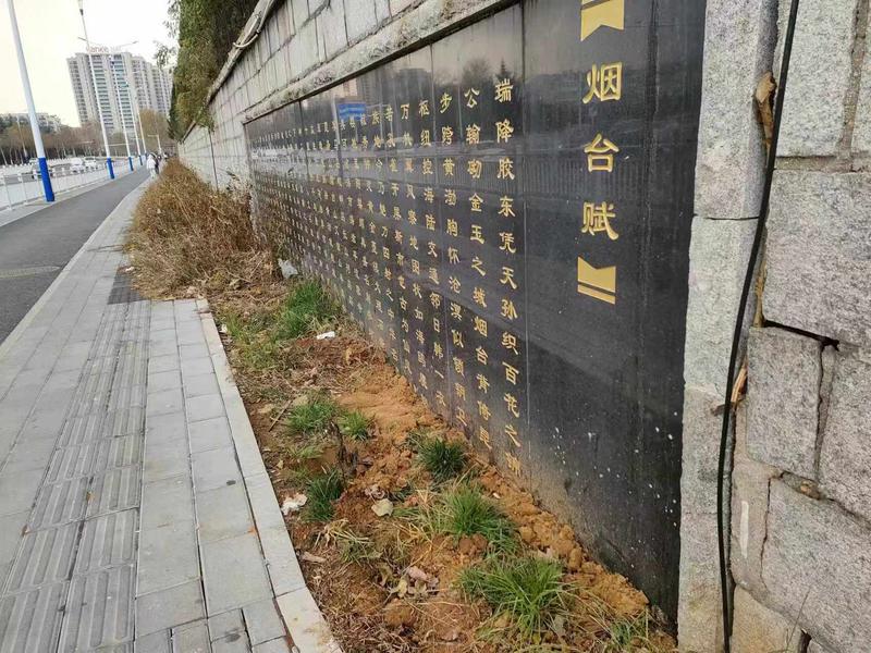 因道路施工，《烟台赋》字碑部分被埋