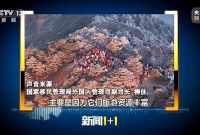 从3天→6天→10天 过境免签政策再升级！