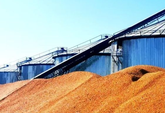 2024年粮食收购量预计8400亿斤左右