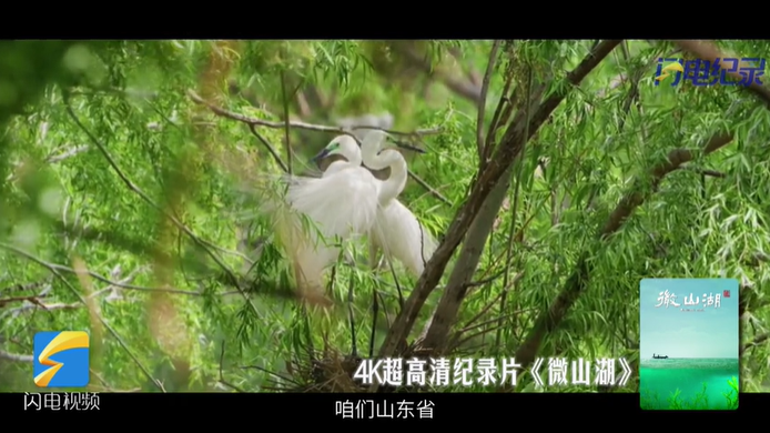 感受历史的厚重底蕴，见证文明的兴衰变化，一睹自然的雄奇震撼，触摸城市的喧闹繁华。2024，山东广电纪录片陪你走过……