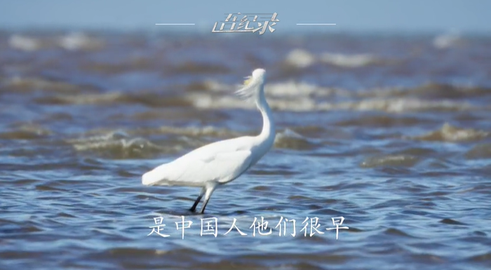 古老的传说和神秘的故事隐藏于雾气。数千年的时光里，沧海之畔的高山，牵引着世人的目光与脚步。道隐无名，他们在自然秘境中，寻求着万物与我的答案。《大道崂山》，2025山东卫视锦绣开年，1月1日至3日每天19:35播出。