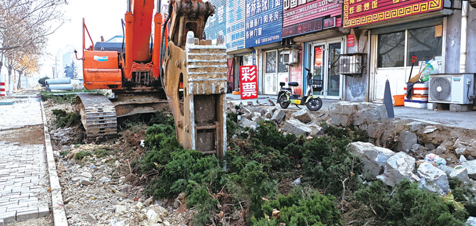 民意通|芝罘区宫家岛社区绿化带深夜遭损坏？