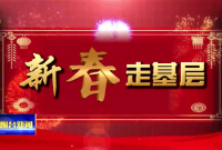 迎新春备年货 蝴蝶兰在烟台受追捧