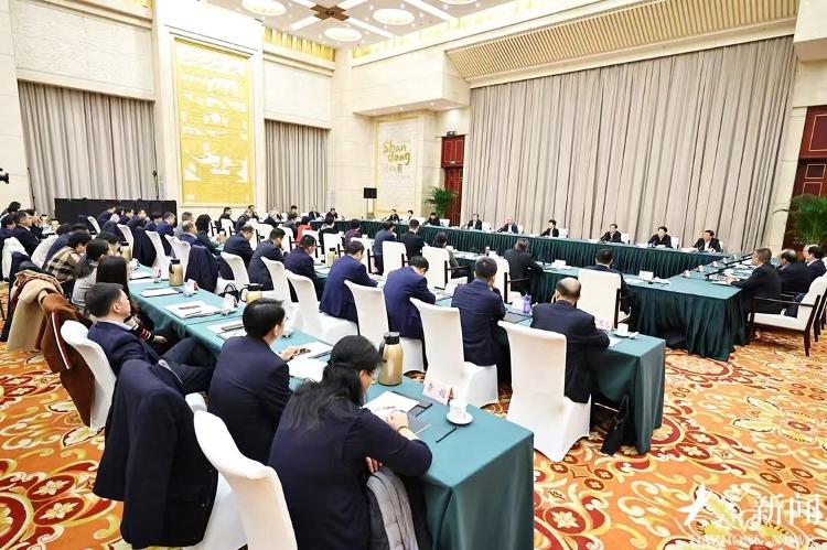 林武参加政协民建、无党派人士和工商联界别委员联组讨论