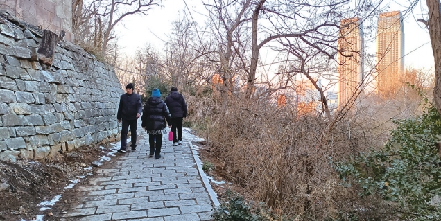 烟台一社区200米长石板路一直没有路灯 居委会：将尽快解决