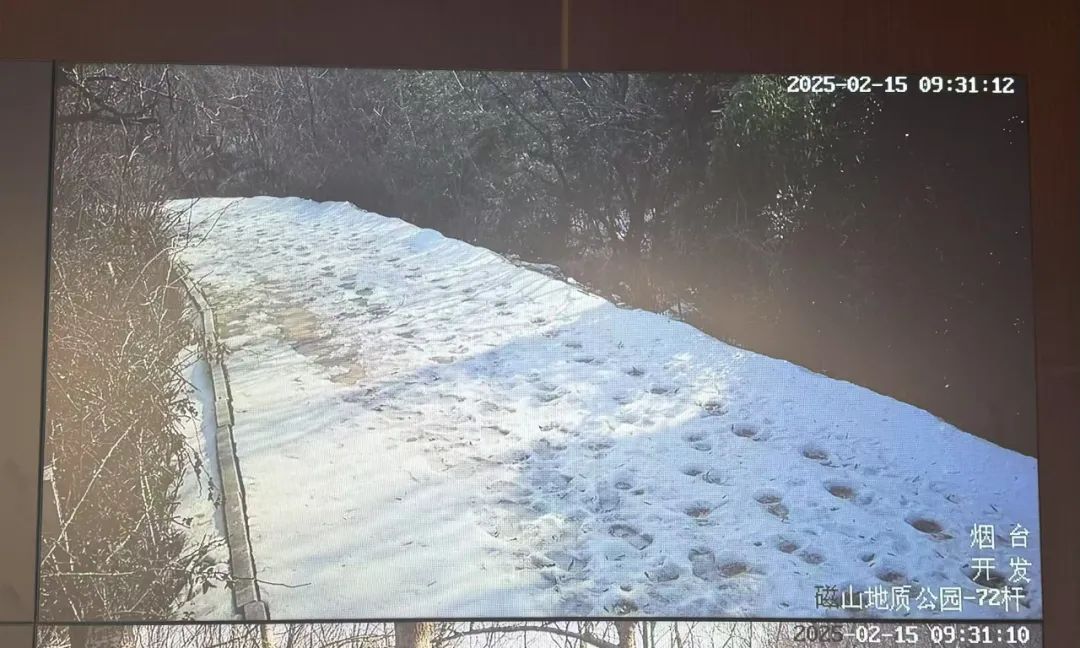 烟台一公园暂时封闭