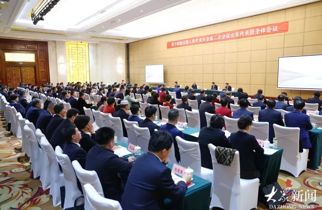 十四届全国人大三次会议山东代表团成立 推选林武为团长