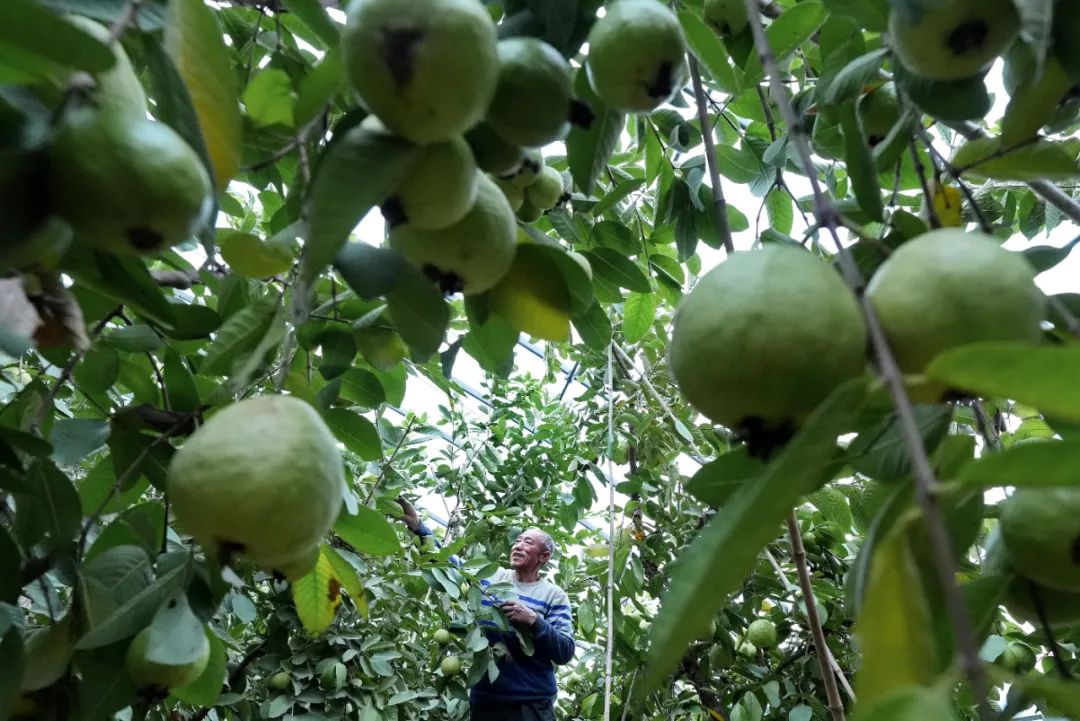 转给家人！春天多吃这几种水果，好处真不少