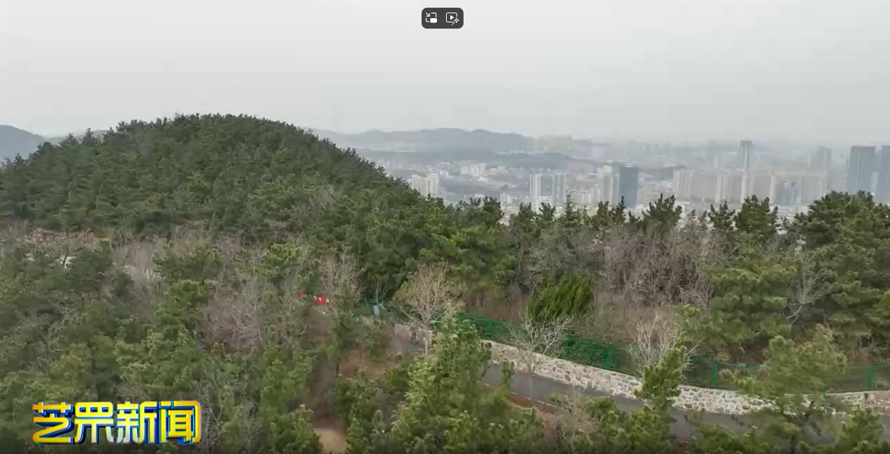 以林为伴 守护最美风景