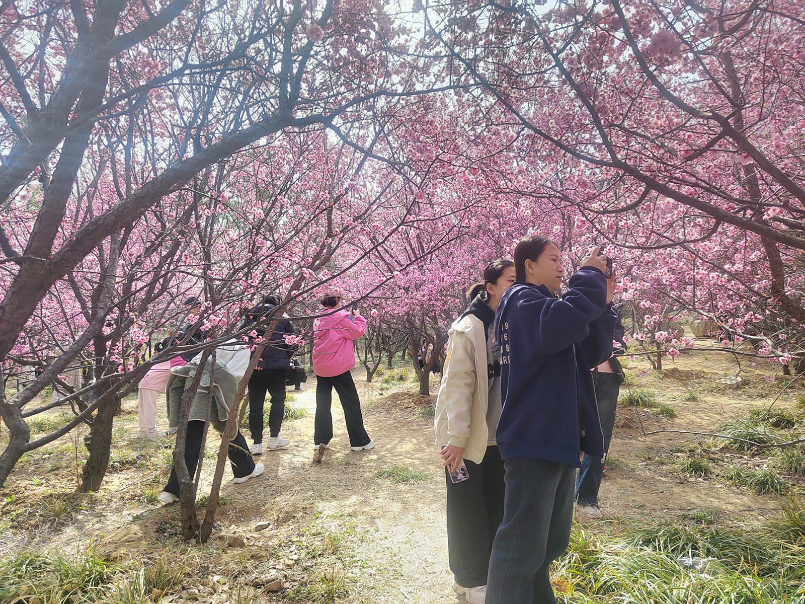 南山公园亲子登山赛火爆开启，100多组家庭乐翻天