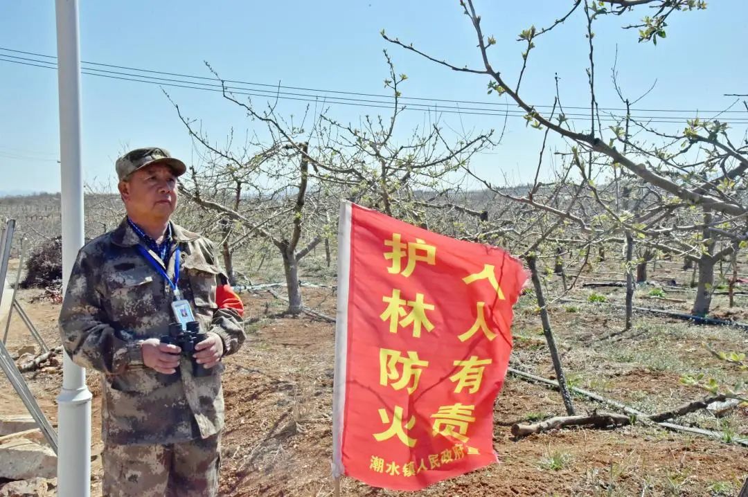护林员王名武：十年坚守只为青山常绿