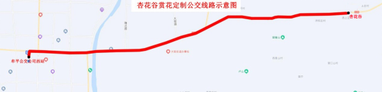 烟台新增一条赏杏花定制公交