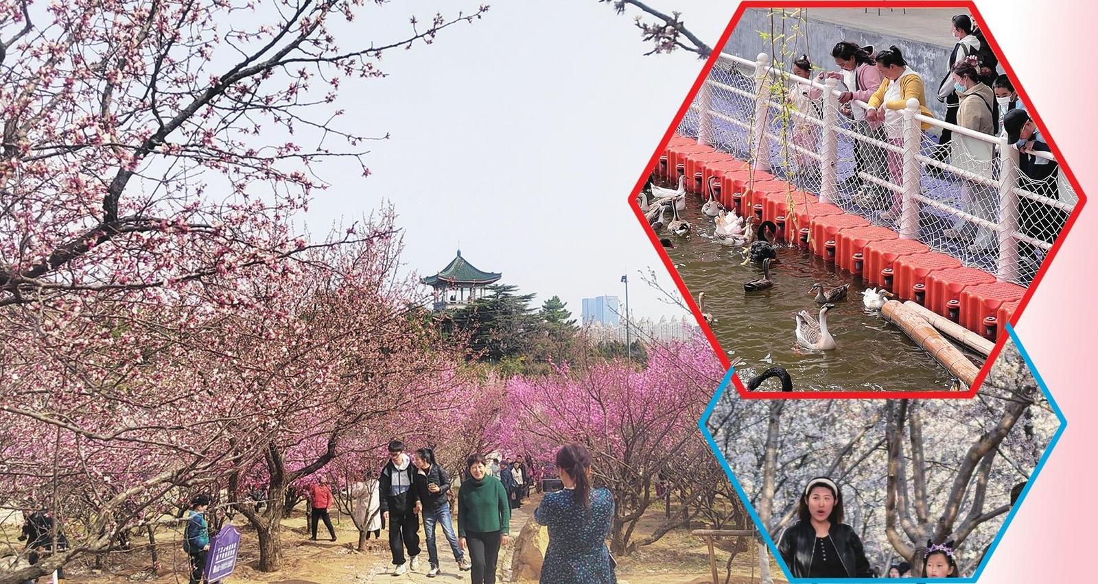 花海寻芳、登高望远，品民俗、醉田园——N种方式打开烟台四月天
