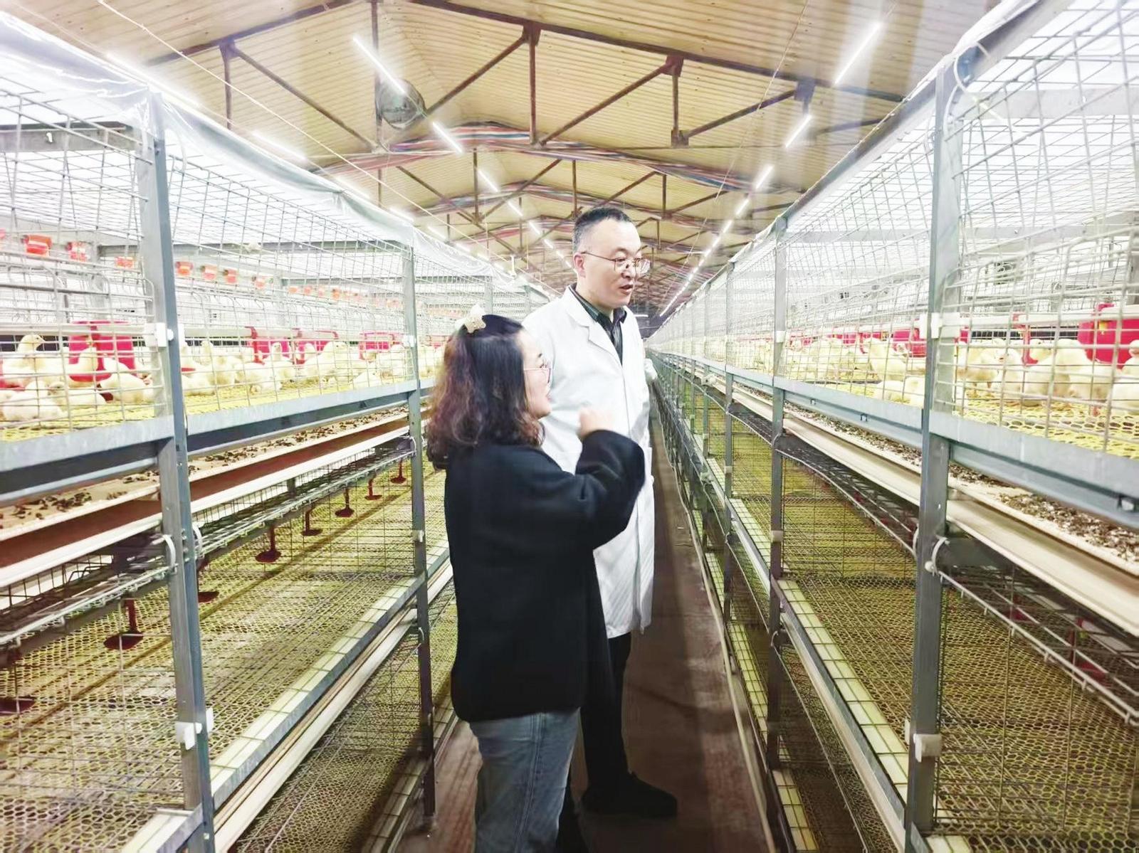 烟台市农技推广中心牵头发起农技综合服务联合体 让科技成果直达生产一线