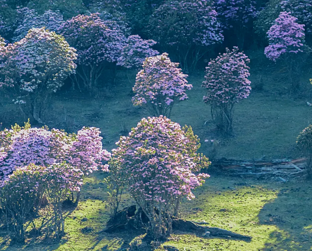 注意！下周上班时间有变，五一假期所有收费公路免费通行
