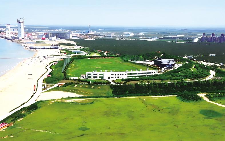 珍爱地球 美丽烟台交上合格答卷