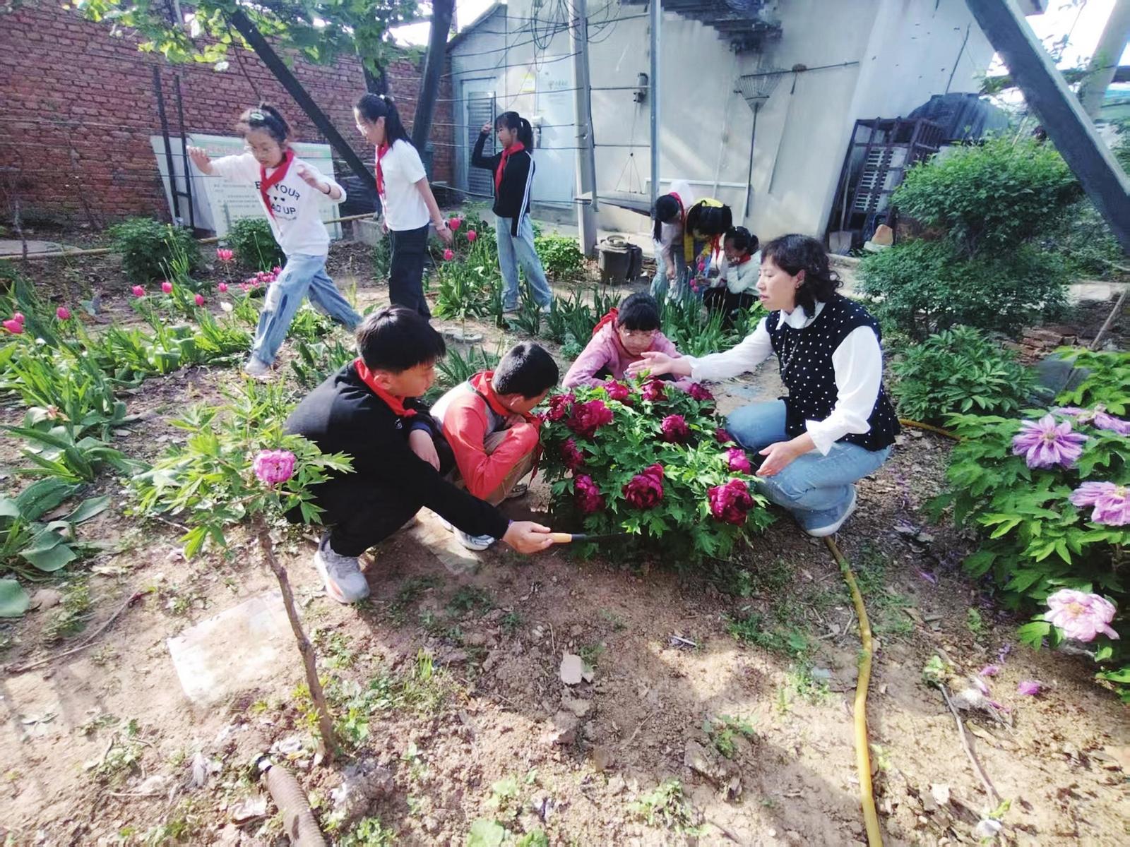 全国先进工作者杨红梅坚守乡村教学一线——点燃乡村孩子的科学梦