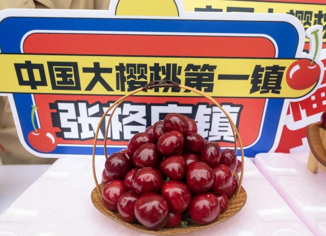 2025烟台市夏季“海洋大集”系列活动启动