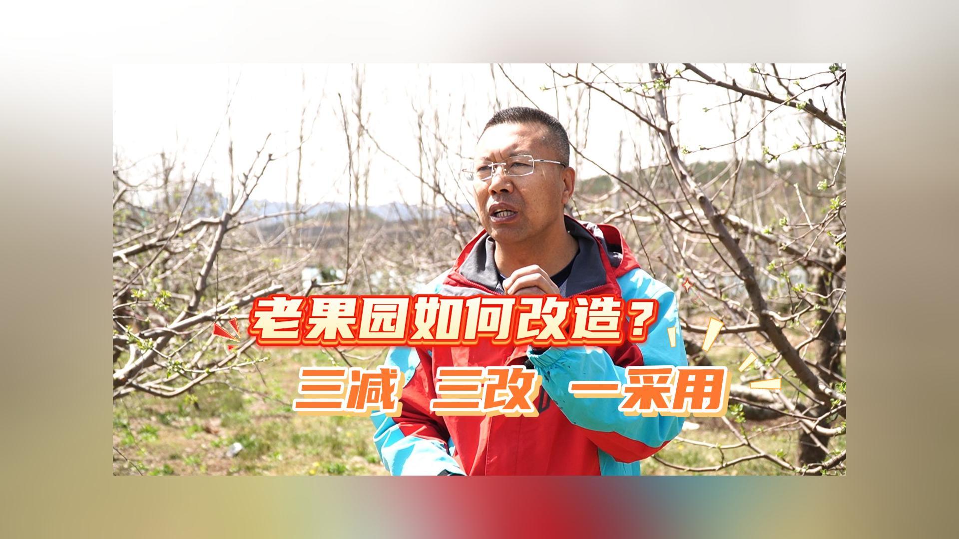 老果园如何改造？三减、三改、一采用！