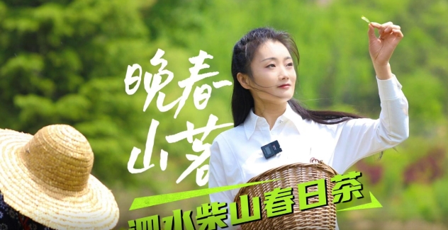 晚春山茗-泗水柴山春日茶