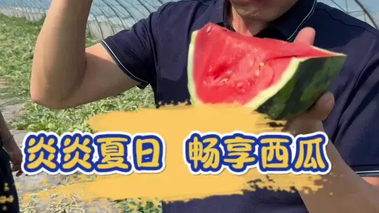 炎炎夏日，畅享西瓜