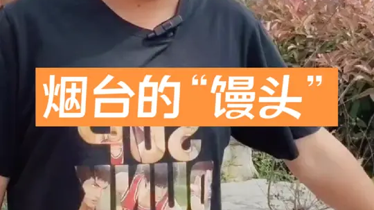 烟台这个村的“馒头”，可以算世界上影响力最大的馒头了