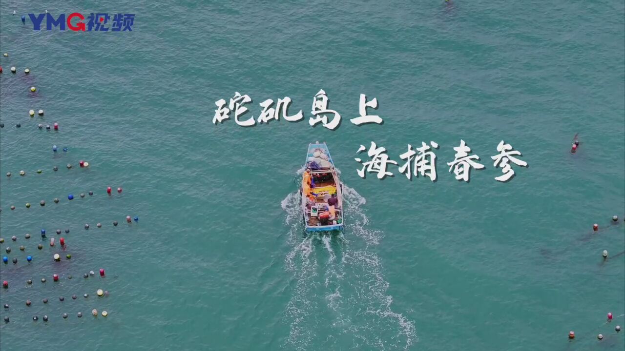 捕—春—参啦