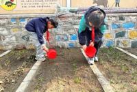 劳动点亮童年，实践润泽成长 ——走进烟台市潇翔小学的劳动教育课堂