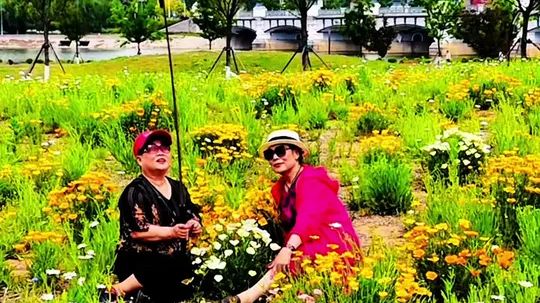 福山隅园的雏菊花开正盛， 浪漫值拉满，快来打卡吧