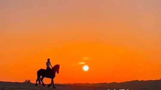 “古道西风瘦马 夕阳西下”古人诚不欺我