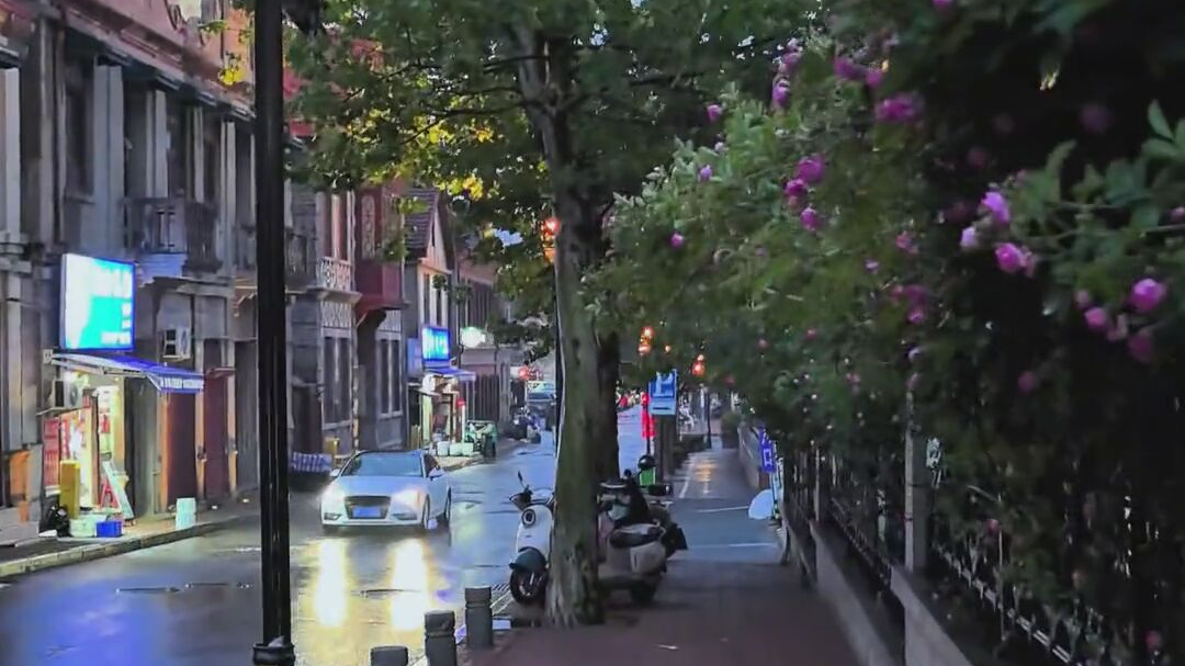 世中逢尔 雨中逢花