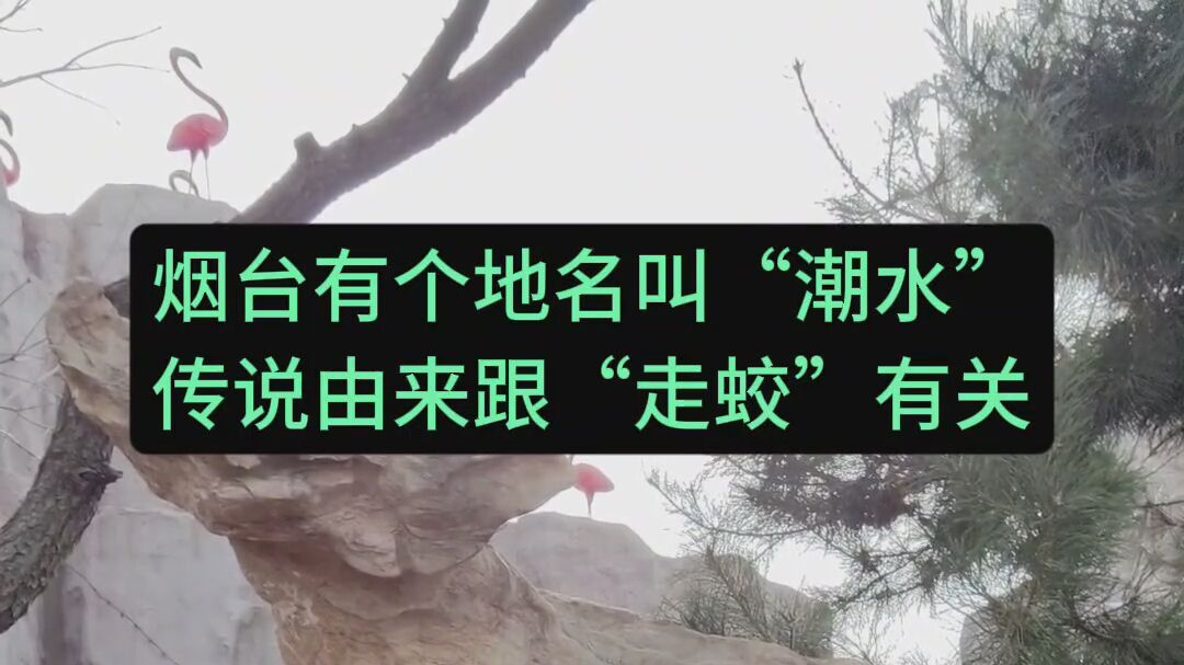 烟台有个地名叫“潮水”，民间传说跟走蛟化龙有关
