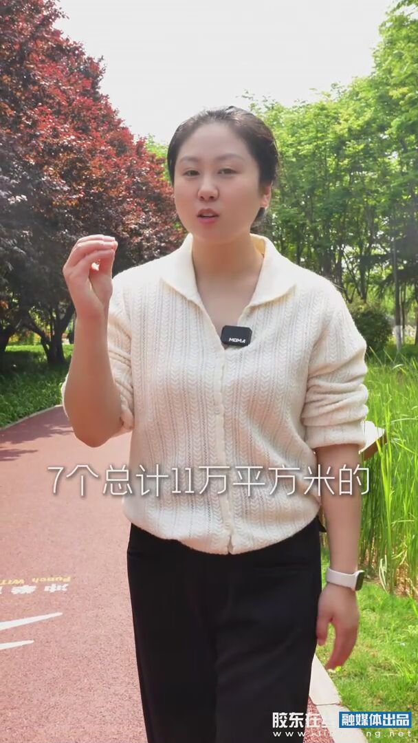 海来潮｜绿荫里的小洞天，那些叫“口袋”的公园进了谁的口袋 #口袋公园