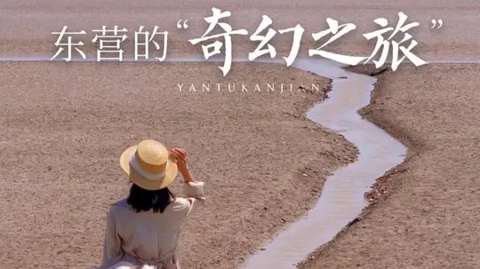 这不是东营！这简直是地球版的“潘多拉奇幻星球”
