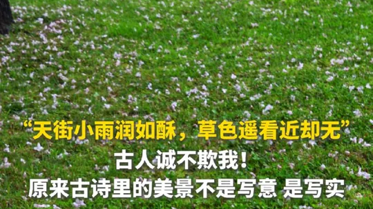 “天街小雨润如酥，草色遥看近却无”，原来古诗里的美景不是写意，是写实