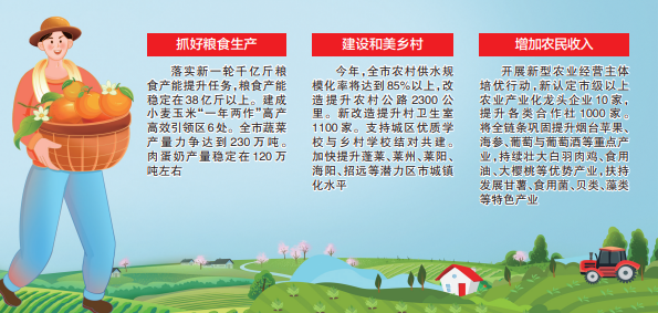 乡村振兴，烟台如何再加力？