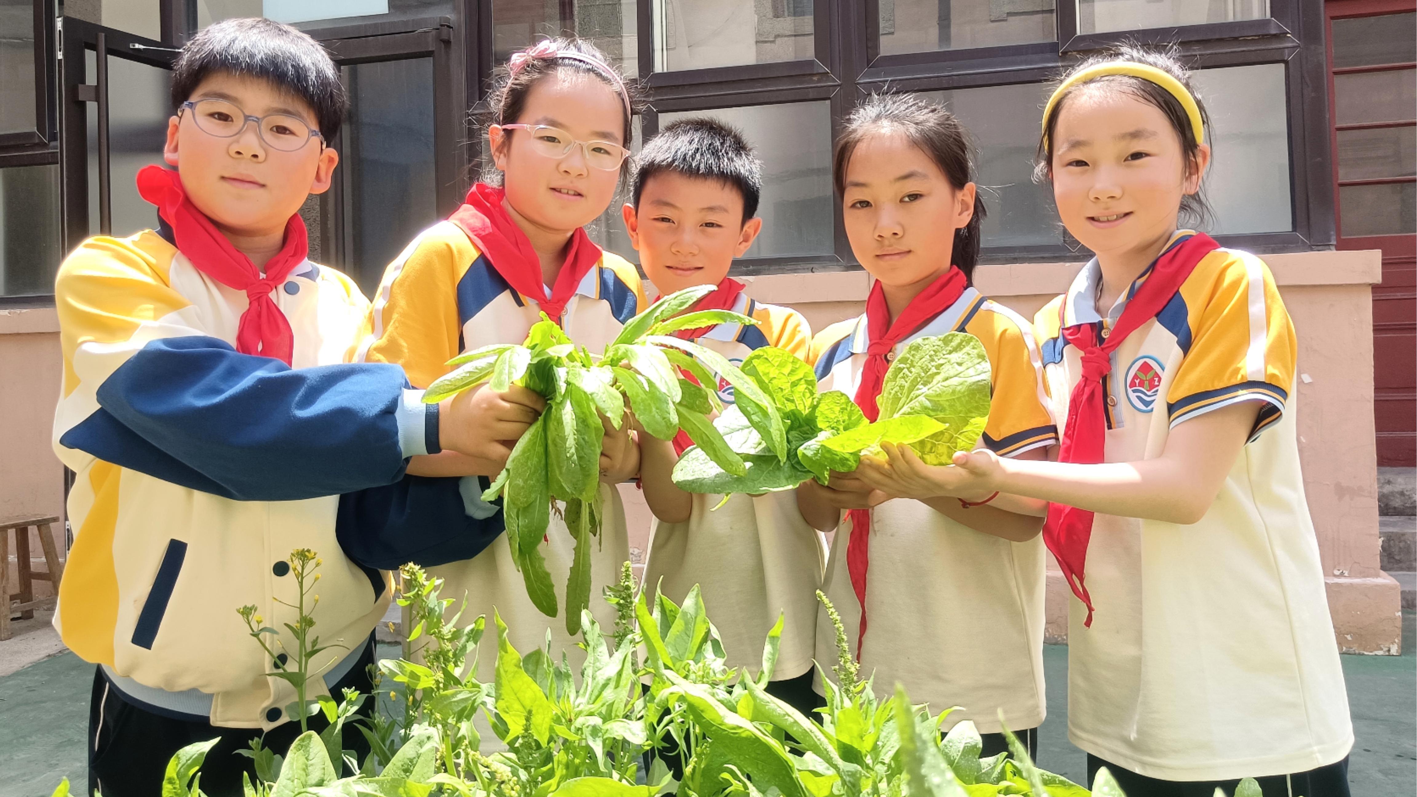 芝罘区养正小学开展劳动教育