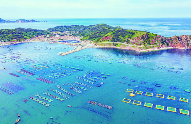 沿着海岸看中国·烟台篇|踏浪零碳 逐梦深蓝