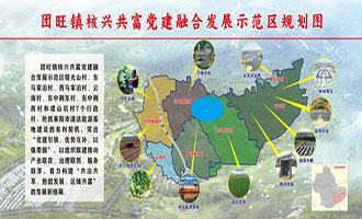 改革创新大家谈⑨丨团旺镇：汇聚改革之力 积极担当作为 奋力开创团旺高质量发展新局面