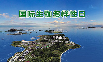 国际生物多样性日：一起来看长岛的生物多样性之美！