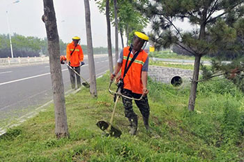 招远市全力打造“畅安舒美绿”路域环境