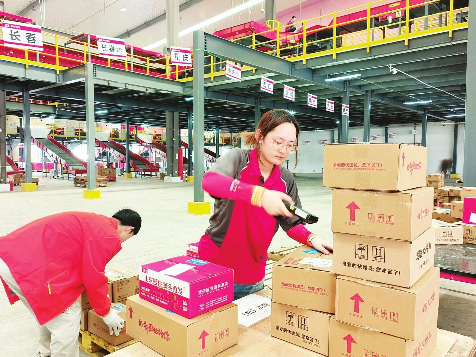 门楼大樱桃分拣枢纽抢先投用 全自动生产线 每日分拣樱桃60吨