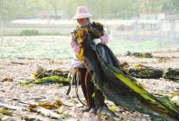 鱼跃丰裕赋能乡村振兴 长岛大钦岛乡冬捕开网