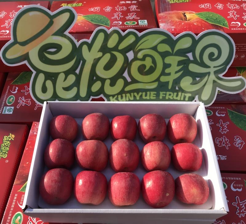 昆悦鲜果 逍駕夼红富士苹果